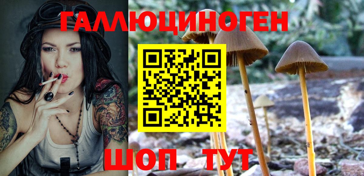 Галлюциногенные грибы MAGIC MUSHROOMS Тула
