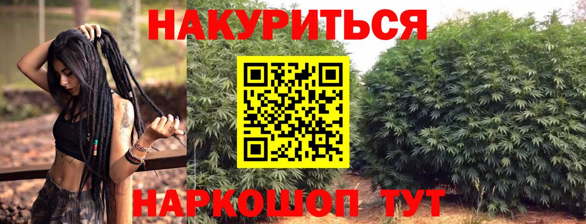 Каннабис тримм  Каннабис ГИДРОПОН  Тула  Вход с VPN  Каннабис AK-47  Бошки марихуана планчик 